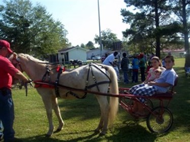 Karen's Kids - Pony Car